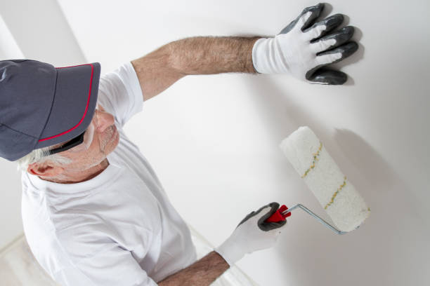 Best Mold Damage Restoration  in Elwood, IL