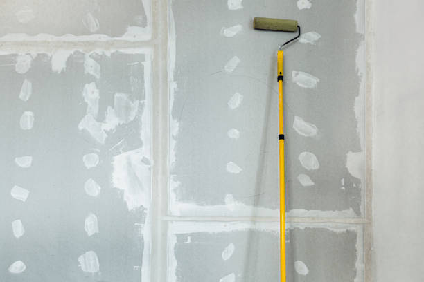 Best Mold Prevention Services  in Elwood, IL