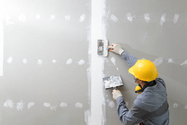Best Commercial Mold Inspection  in Elwood, IL