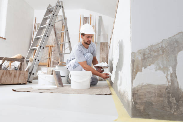 Dehumidification Services in Elwood, IL