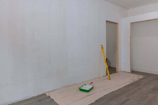 Best Basement Mold Removal  in Elwood, IL