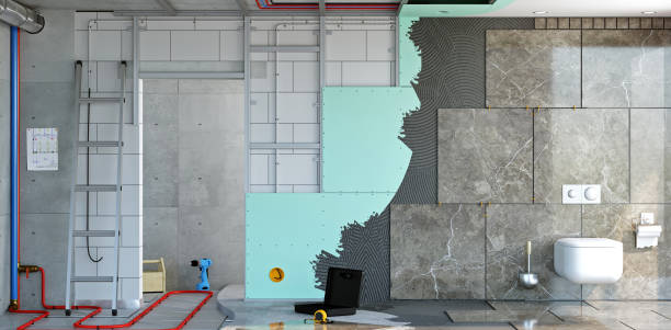 Best Mold Documentation for Insurance Claims  in Elwood, IL
