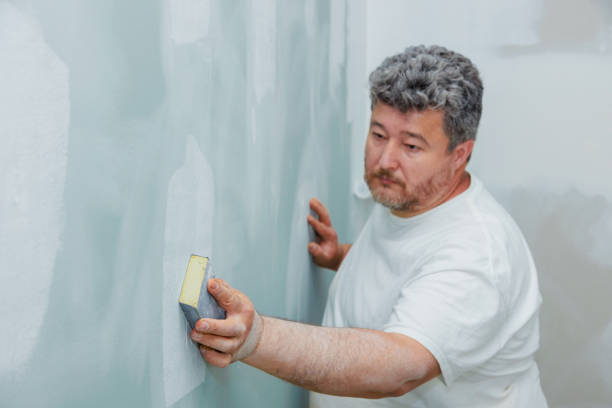 Best Comprehensive Air Testing for Mold Contaminants  in Elwood, IL