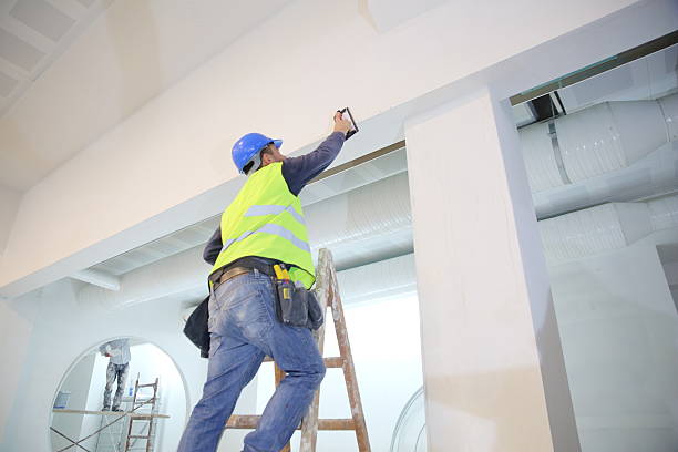 Best Emergency Mold Remediation  in Elwood, IL