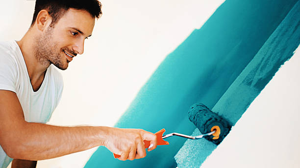 Best Real Estate Mold Inspection  in Elwood, IL