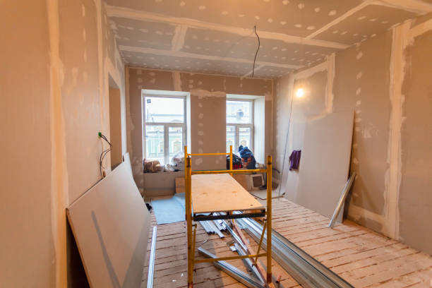 Best Mold Prevention Services  in Elwood, IL